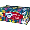 Салфетки косметические ZEWA Everyday 2-сл 250шт/уп 8679