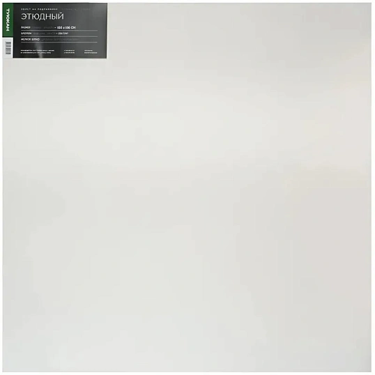 Холст Туюкан Этюдный, 100х100 см, 256г/м2, мелкое зерно, Т0016101