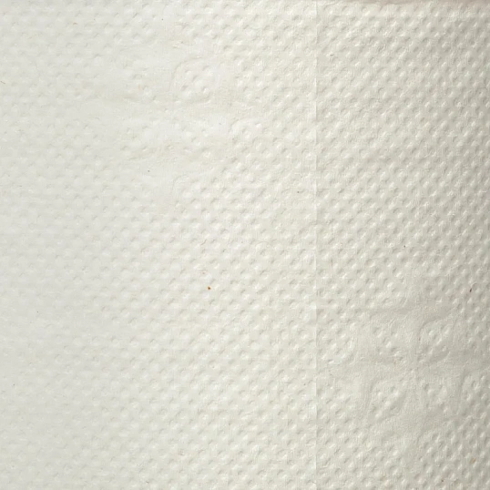 Бумага туалетная д/дисп Luscan Professional 1сл бел цел втул 200м 12рул/уп