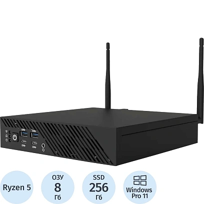 Мини ПК Rikor USFF 102.1(2D2C97E5)5600G/8Gb/256Gb/W11P