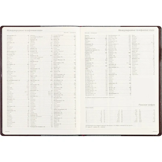 Еженедельник недатированный коричнев,A4,222х302мм,64л,Br.V.PROFY 3-098/03