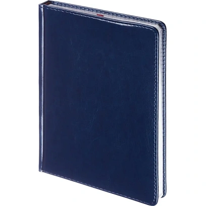 Ежедневник недатированный А5 Sidney Nebraska, син,сер.обрез,272стр 3-128/12