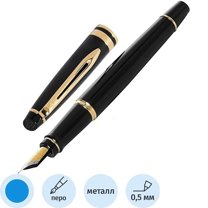 Ручка перьевая WATERMAN EXPERT S0951640 черн. корп, син чернила 0,5мм Франц