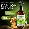 Освежитель воздуха SYNERGETIC Имбирь и лемонграсс, 380 мл