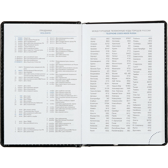 Ежедневник недатированный черн, А6, 100x150, 320стр, Agenda