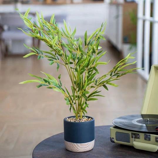 Растение Цветок искусственный Бамбук в цемент.горшке, Д125 Ш125 В650,Mia5