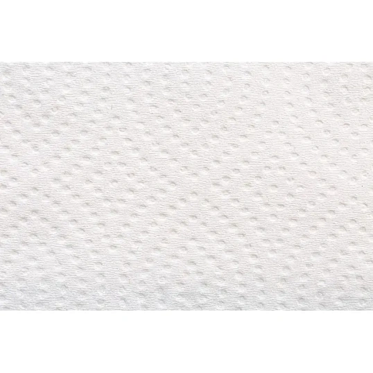 Полотенца бумажные д/дисп. FOCUS PremiumVсл 2сл 200л15пач/уп 5083740 п/э