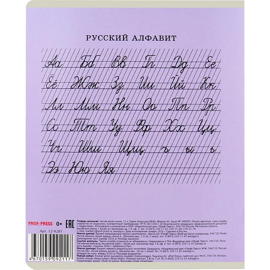Тетрадь ЧАСТАЯ КОСАЯ ЛИНИЯ 12л. КЛАССИКА NEW цвет.мелов.обл,ассорти,12-9281