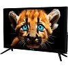 Телевизор 24 Topdevice TDTV24BS01H_BK, HD ready, смарт (WildRed)