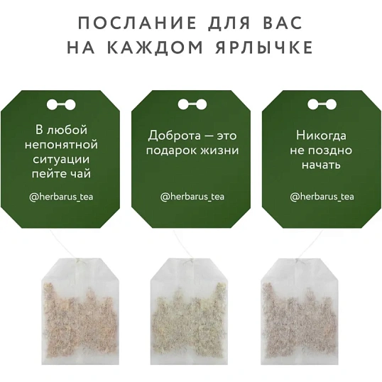 Чай Herbarus зеленый и улун с добавками, Лемонграсс Апельсин, 24 пак