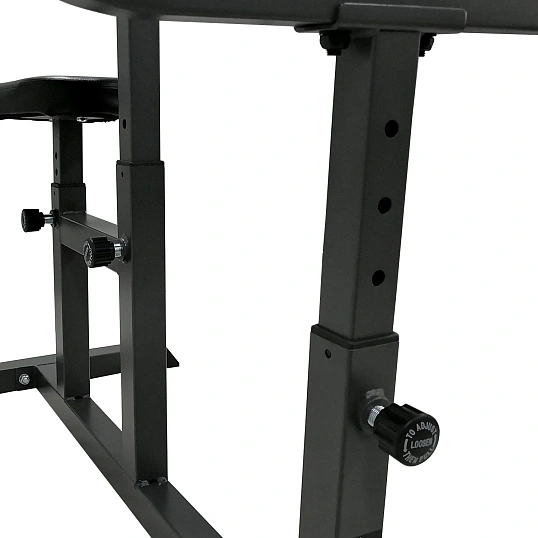 Скамья Скотта DFC Homegym UB008, S