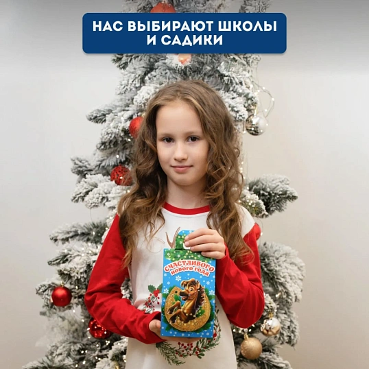 Новогодний сладкий подарок Лошадка и подкова Картон 300 грамм, K002
