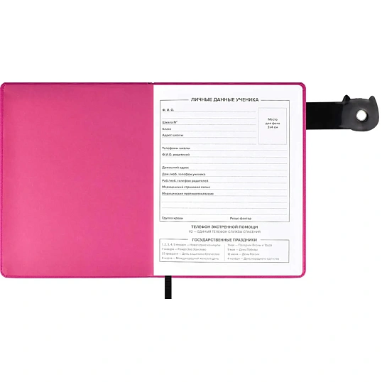 Дневник школьника ДЛИННЫЙ КОТ кожзам,  А5+, твёрдый переплёт, 48 л. 58722