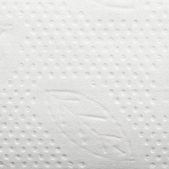 Бумага туалетная листовая д/дисп Торк ТЗ 1сл. 250л 40 пач/уп 114272