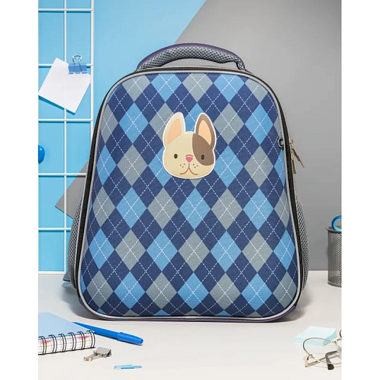 Ранец Комус Класс Basic Собачка, клетка синий , 2 отд, эргоном спинка