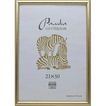 Рамка пластиковая А 4 золотого цвета 509