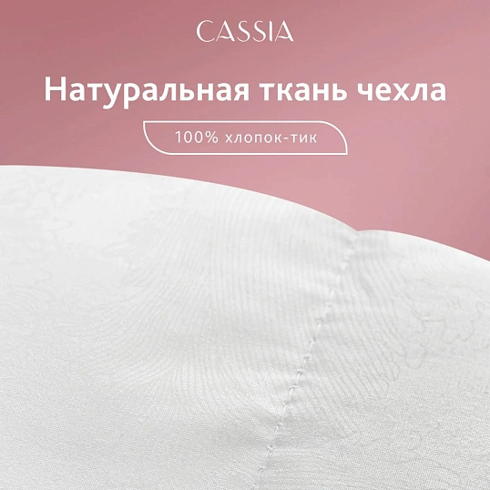 Одеяло 172x205 Клауд Софт микроволокно