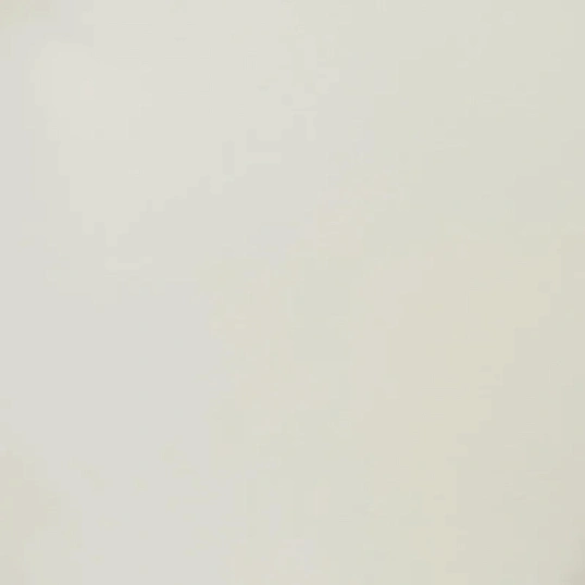 Перчатки мед.хирург. латекс., стерил. неопуд. ПАФ,  Benovy  р-6,5 50 пар/уп