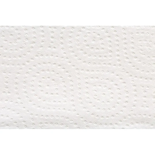 Полотенца бумажные д/дисп. FOCUS Economic Premium Zсл 2слбелцел100л35пач/уп