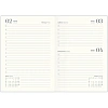 Ежедневник датированный 2026 IF 14х20см 176л, мягкий, Nightfall I1736/light