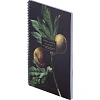 Тетрадь общая, BS, А4, 96л., клетка, мягкий, спираль. Flora, инжир, N4283