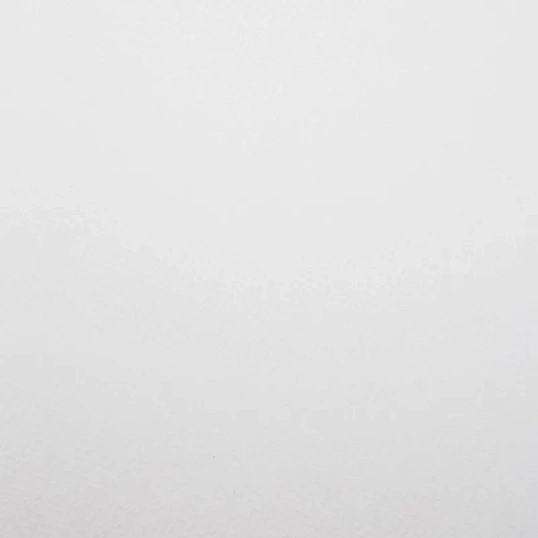 Папка для акварели Флора А4 210х297мм 200г/м2 10л П-0279