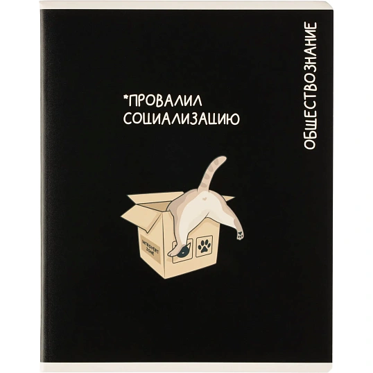 Тетрадь предметная КОТЫ МЕМЫ, набор12 шт.48л,А5+, клетка/линия/71449