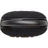 Акустическая система JBL Clip 5 Black (JBLCLIP5BLK)