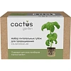 Набор питательных губок Cactus CS-SPONGE-20 для проращивания 20шт/уп