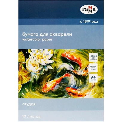 Папка для акварели,10л,А4 ГаммаСтудия,200г/м2,среднее зерно,40C03F710W