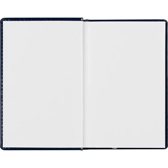 Ежедневник недатированный синий, А6,100x150, 320стр, Agenda
