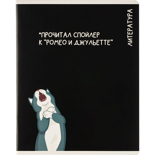 Тетрадь предметная КОТЫ МЕМЫ, набор12 шт.48л,А5+, клетка/линия/71449