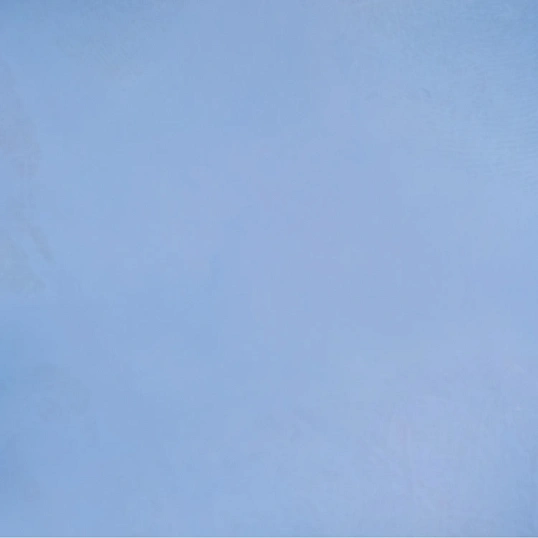 Перчатки нитрил., н/с, н/о,3,5гр./шт,глб/глб уп. FOXY-GLOVES (L) 50 пар/уп