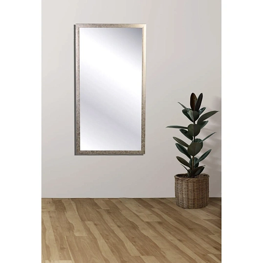 Зеркало МГЛ_настенное НБ54 (534х1004) багет ПЛС теплое серебро