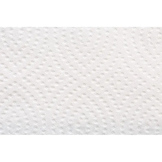 Полотенца бумажные д/дисп. FOCUS Eco Vсл 1сл бел 250л 15пач/уп 5083741 п/э