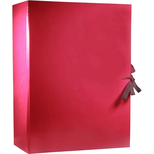 Папка архивная складная 120мм Attache Economy, бордо