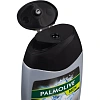 Гель для душа Palmolive MEN Арктический ветер 250 мл