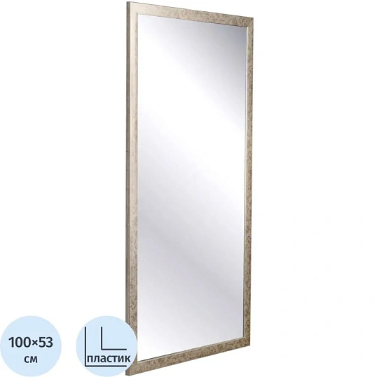 Зеркало МГЛ_настенное НБ54 (534х1004) багет ПЛС теплое серебро