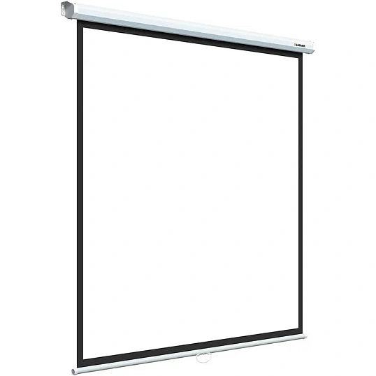 Экран настенный Lumien [Eco Picture] 200х200 см Matte White 1:1