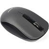 Мышь компьютерная Smartbuy ONE 345AG серая (SBM-345AG-G)