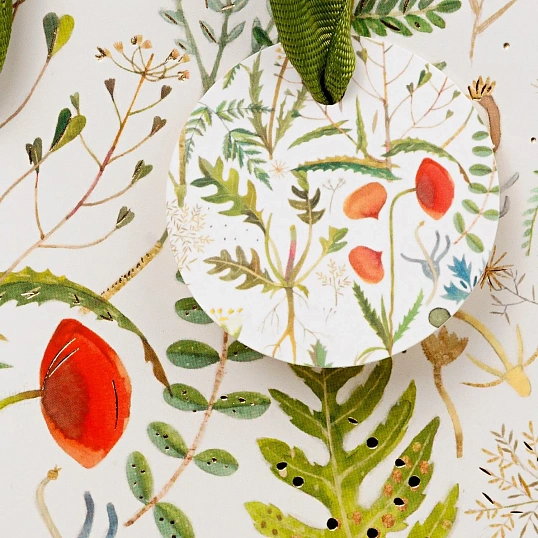 Пакет под бутылку подар. PREMIUMFLORA.ЛУГОВЫЕ ТРАВЫ12.3x36x9см 2-856/04