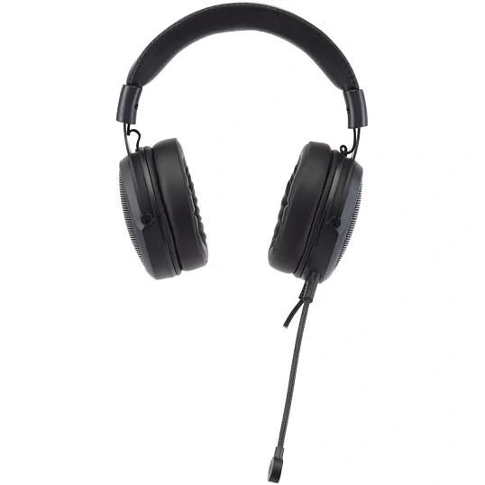 Гарнитура Acer AHW120 черный 2.1м USB (ZL.HDSCC.01C)