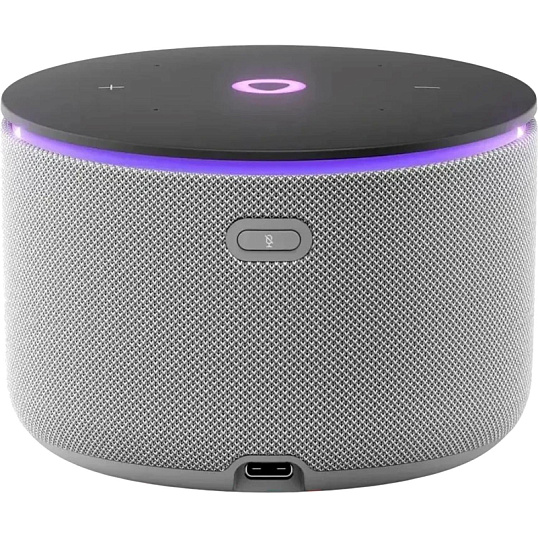 Умная колонка Яндекс Станция Мини 3 Про, Zigbee, серый (YNDX-00059GRY)