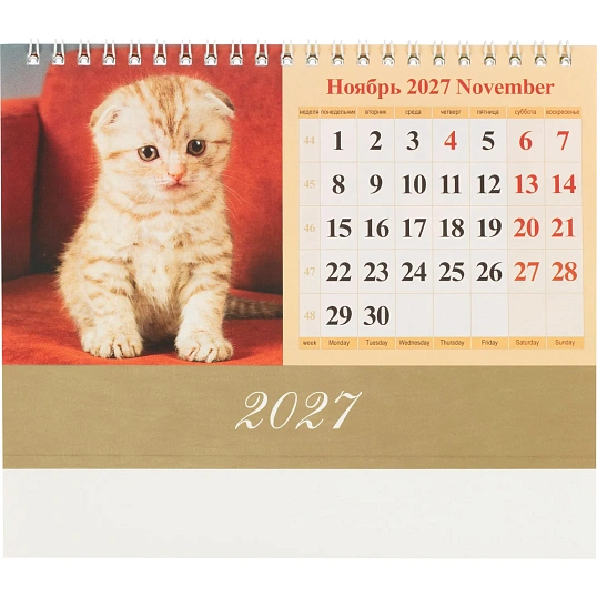 Календарь-домик настольный 2027 Котята 1спир 200х140  0927007