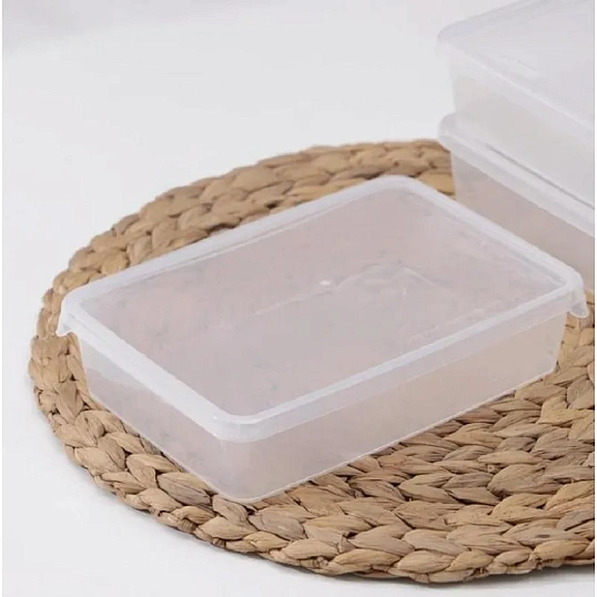 Набор контейнеров для заморозки Frozen 0,9л прямоугол 204х140х83мм 3шт/наб