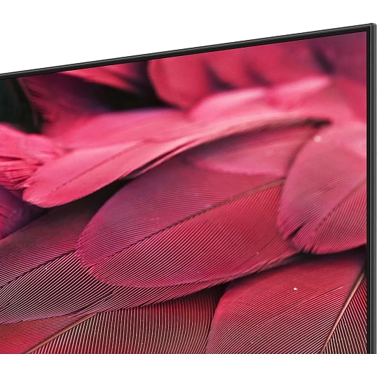 Телевизор Skyworth 55X85G, UHD Mini-LED Smart c функцией Караоке