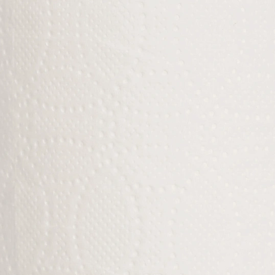 Бумага туалетная Выбор есть 2сл 55м белая 100% целлюлоза 24рул/уп