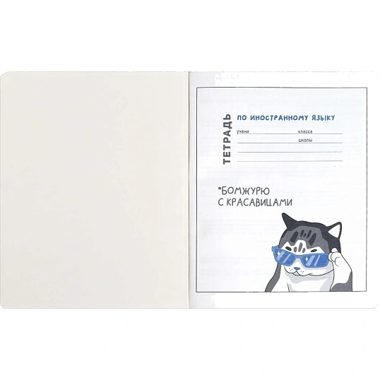 Тетрадь предметнaя ИНОСТРАННЫЙ ЯЗЫК 'КОТЫ МЕМЫ' 48 л.А5+,кл,справ.инф/69829