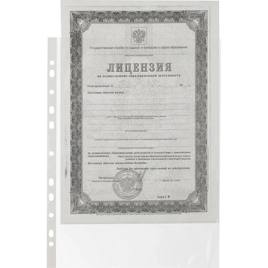 Файл-вкладыш А4 22-25мкм Выбор есть, гладкие, с перф, 100шт./уп