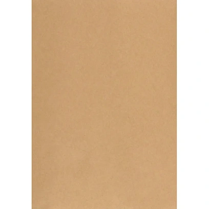 Пакет в упаковке Крафт С4стрип Multipack 229х324 100г 50шт/уп/5702